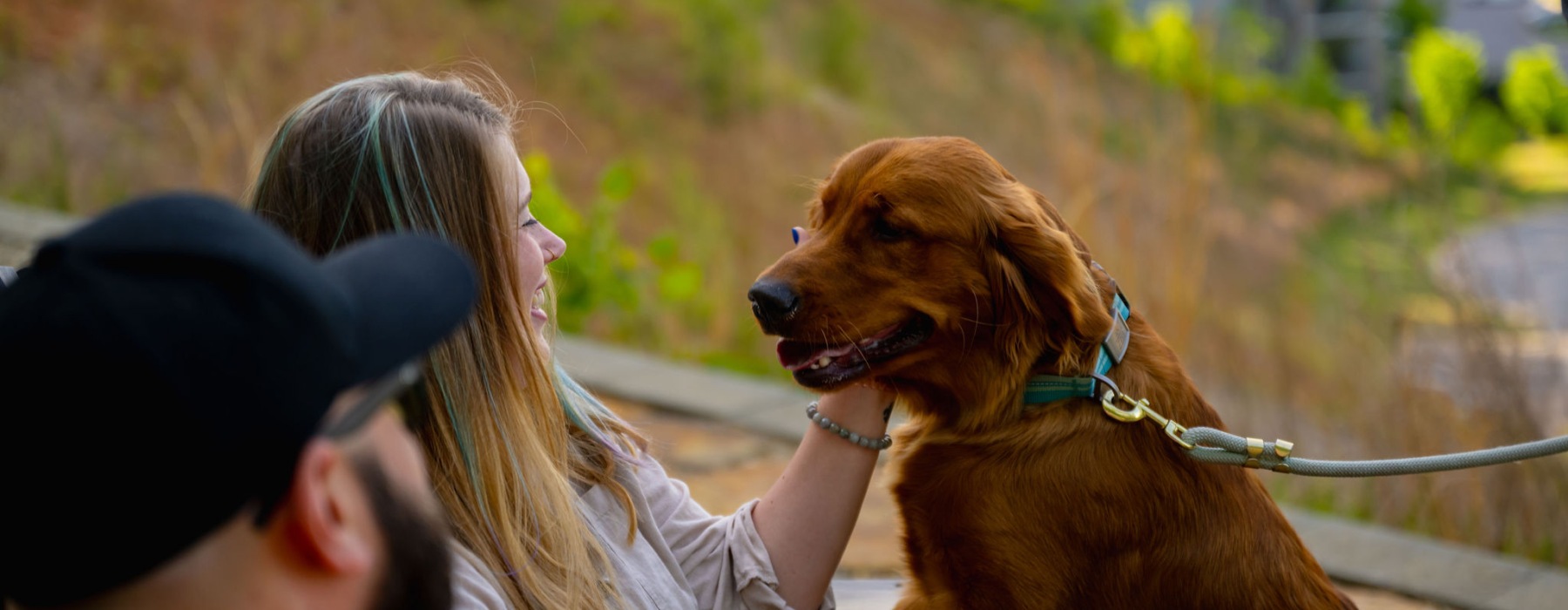 people enjoying the views and talking with friends while petting a dog