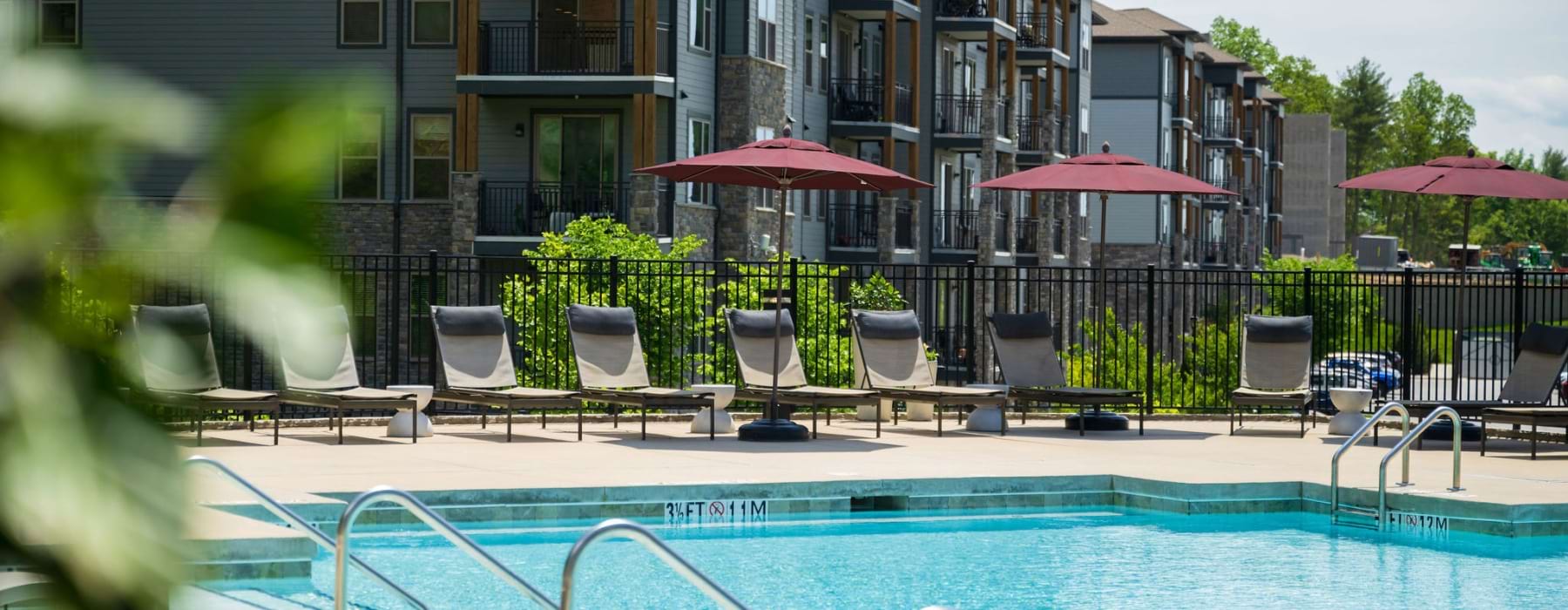 Resort-style pool surrounded by lounge chairs at Enclave Piney Mountain, luxury apartments in Asheville, NC.
